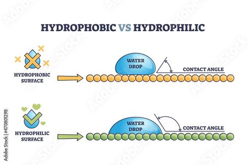 Hydrophobic vs hydrophilic surface drop effect outline diagram. Labeled educational physical explanation with liquid contact angle and its tension force vector illustration. Water resistant material. photo