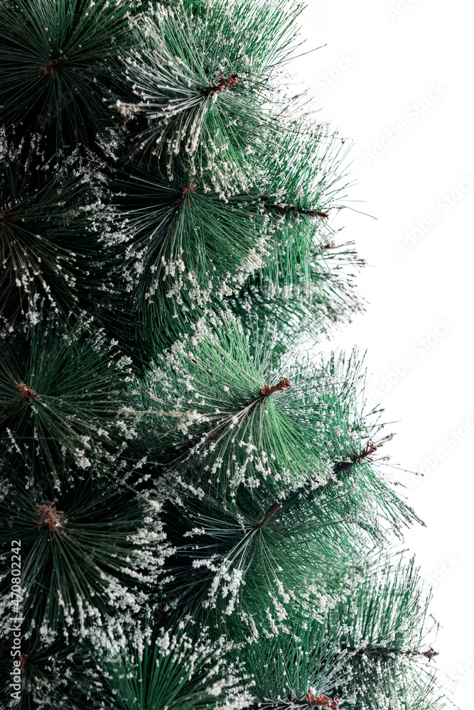 Pine tree Pine tree