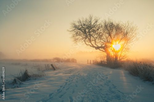 Winter im Teufelsmoor bei Worpswede photo