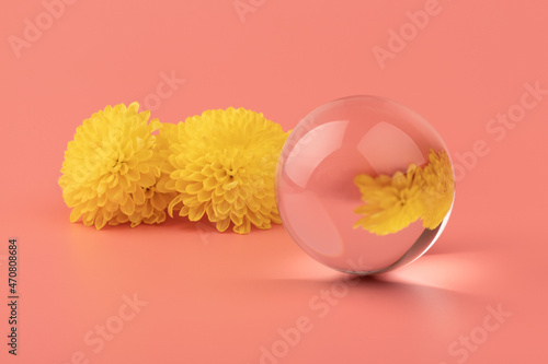 Yellow flowers reflecte in the glass ball on pink backrgound. photo