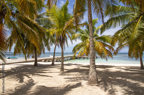 Fototapeta Naklejka Na Ścianę i Meble -  Strand auf Saona Island in der Karibik, Dominikanische Republik
