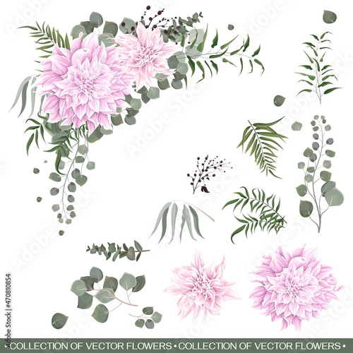 Vector floral corner. Pink dahlias  eucalyptus  green plants and leaves. All elements are isolated on a white background.