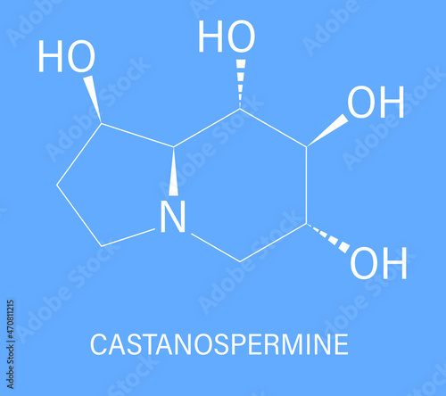 Castanospermine alkaloid molecule. Isolated from Castanospermum australe. Skeletal formula. photo