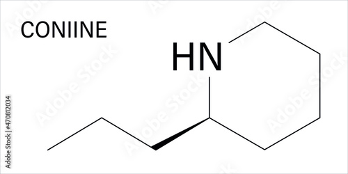 Coniine herbal toxin molecule. Present in poison hemlock (Conium maculatum). Skeletal formula.