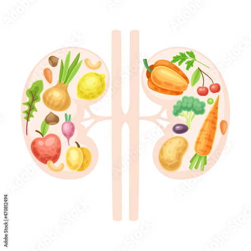 Fototapeta Naklejka Na Ścianę i Meble -  Anatomical kidneys with fruit and vegerables. Healthy human internal organ vector illustration