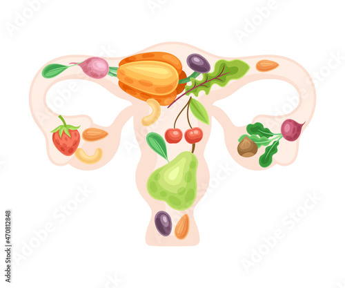 Female reproductive system with fruit and vegerables. Healthy human internal organ vector illustration