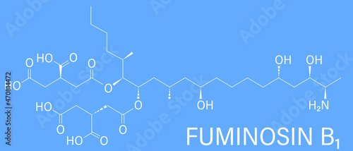 Fumonisin B1 mycotoxin molecule. Fungal toxin produced by some Fusarium molds, often present in corn and other cereals. Skeletal formula.
