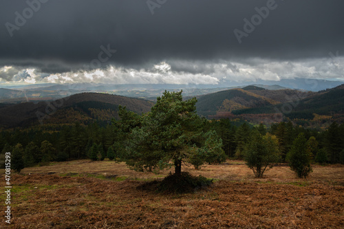 landscape in the morning