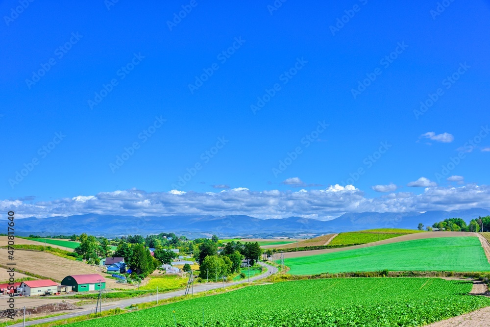 北海道　 秋の美瑛　青空と穀倉地帯

