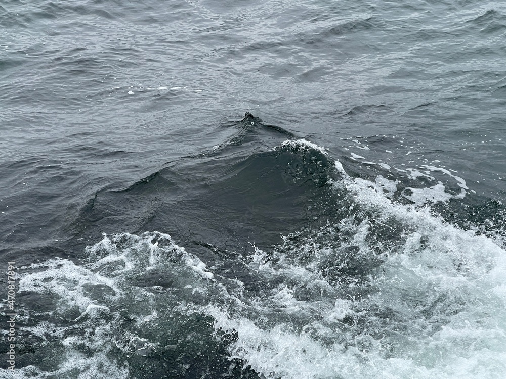 Fototapeta premium Waves in the ocean, copy space