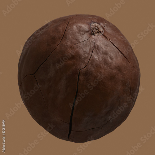Close up brown macadamia in shell
