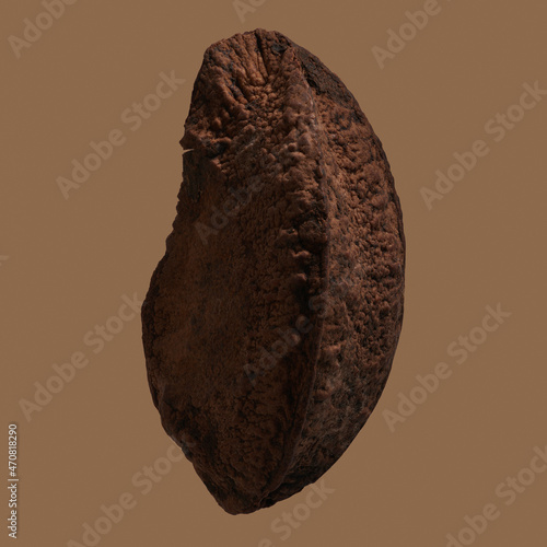 Close up brown Brazil nut in shell
 photo