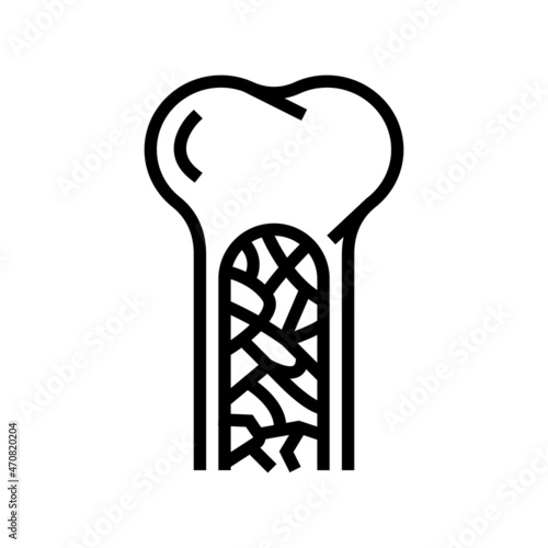 bone marrow line icon vector. bone marrow sign. isolated contour symbol black illustration