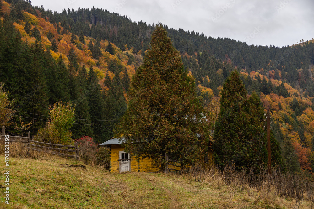 Autumn mountain landscape with fall colored forest and rural wooden house. Countryside nature