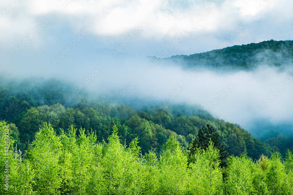 morning fog in the pea. Mountain hills are covered with trees on which the fog sky is covered with clouds on a cool spring day. morning fog in the pea. Mountain hills are covered with trees on which the fog sky is covered with clouds on a cool spring day.