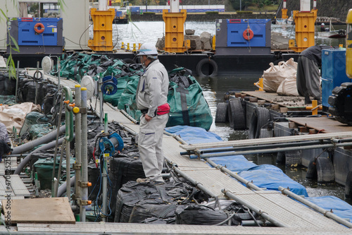 皇居外苑、日比谷濠の改修工事　石垣の作り替え photo