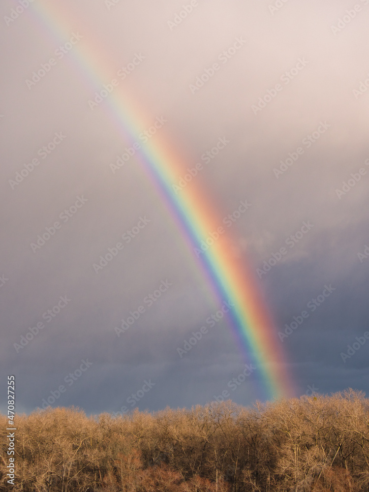 bright rainbow over trees against dark sky bright rainbow over trees against dark sky