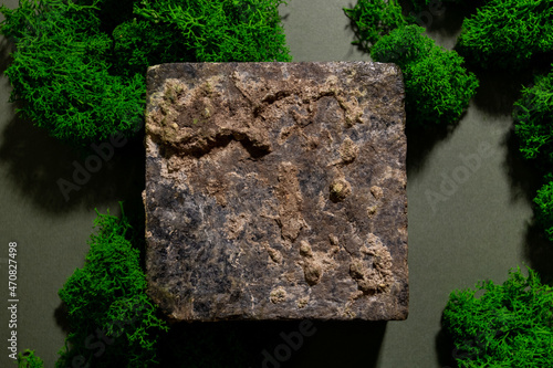 Composition of stone and moss on green background. Abstract podium for organic cosmetic products. Natural stand for presentation and exhibitions.