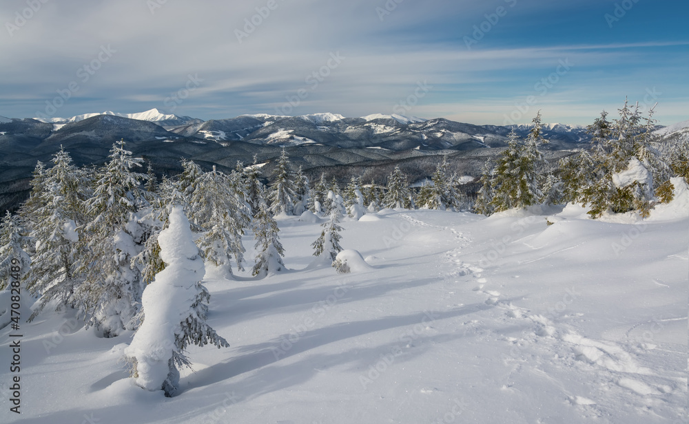 Winter. Landscape of high mountains with snow white peaks and forests. Wallpaper background. Natural scenery. Location place Carpathian, Ukraine, Europe Winter. Landscape of high mountains with snow white peaks and forests. Wallpaper background. Natural scenery. Location place Carpathian, Ukraine, Europe