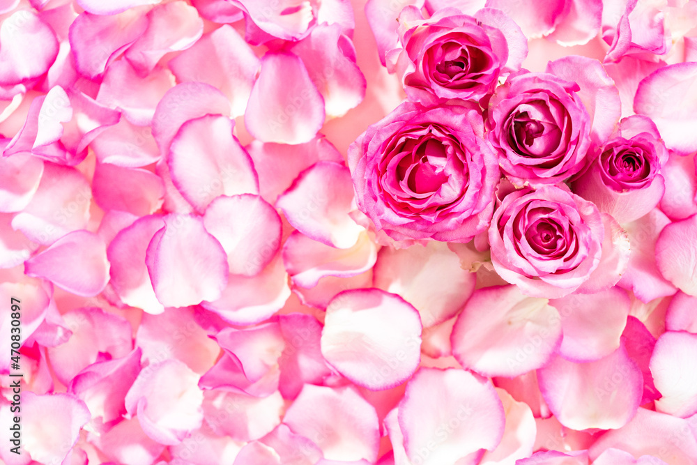 Rose petals Rose petals