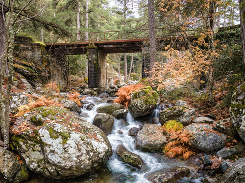 A river flowing under an old bridge and through brightly coloured autumn ferns in the Tartagine forest in the Balagne region of Corsica photo