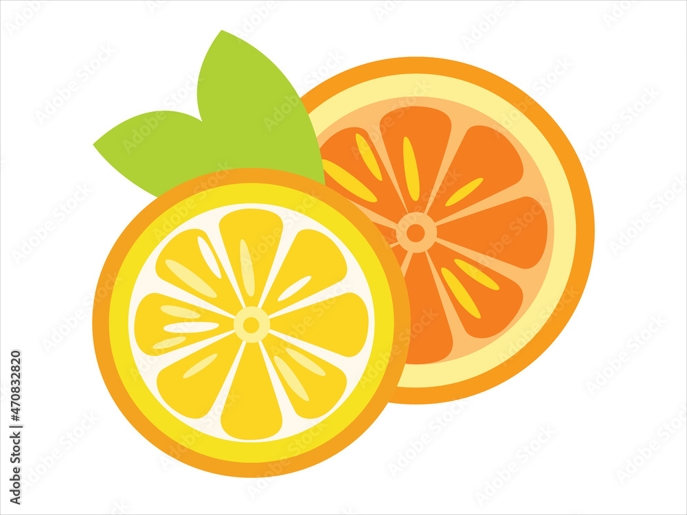 Fototapeta premium Slice of Orange in the section. Vector flat fruit illustration