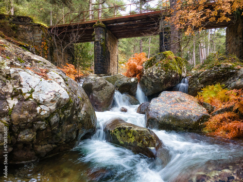 A river flowing under an old bridge and through brightly coloured autumn ferns in the Tartagine forest in the Balagne region of Corsica photo