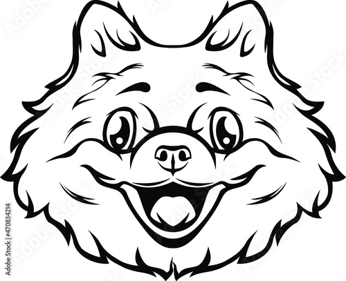 Black and white hand drawn face of spitz . Mascot illustration. Dog tattoo art
