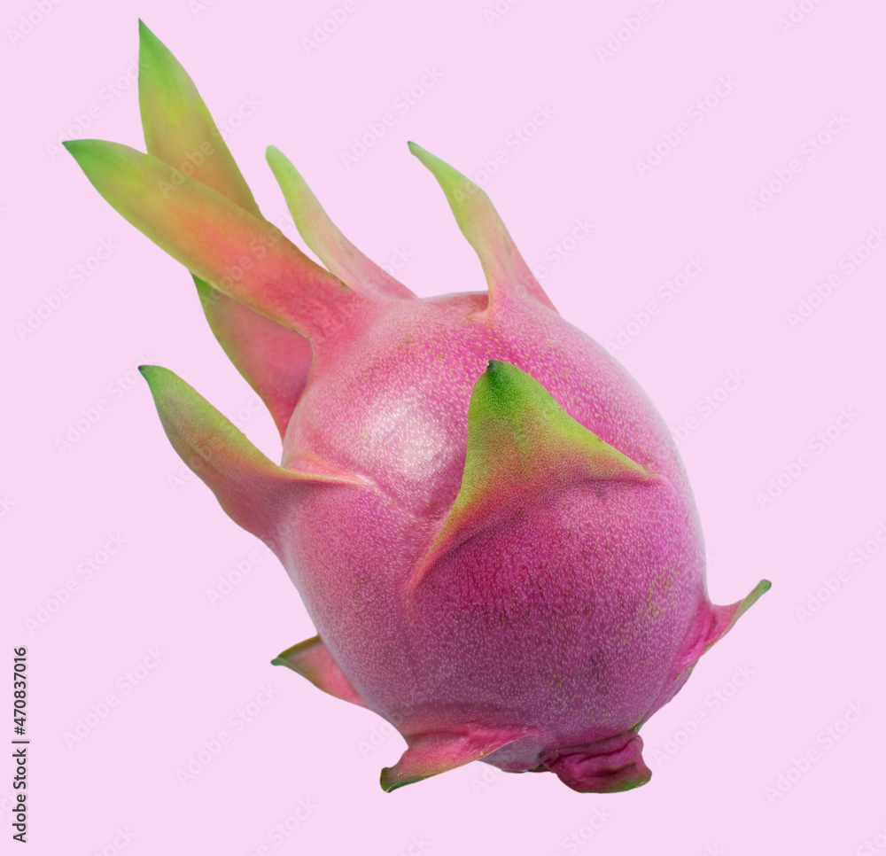 Fototapeta premium Pitaya or Dragon fruit isolated background