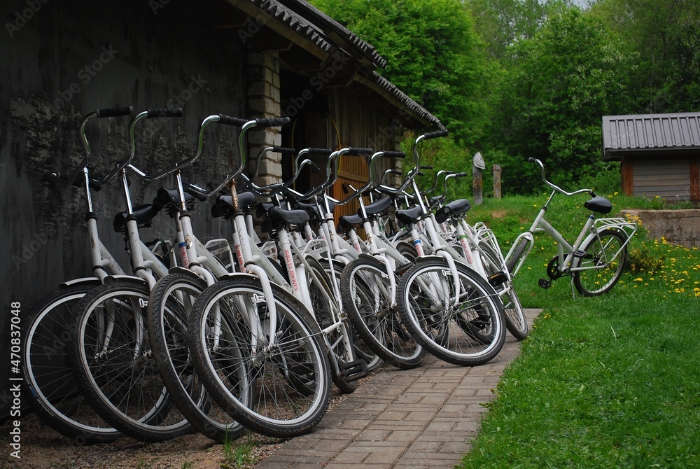 Many white bicycles are placed next to barn.