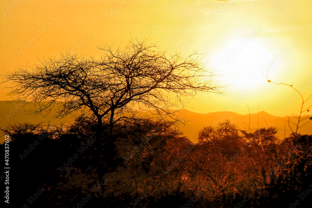Paysage lever et coucher de soleil en brousse Afrique, Kenya