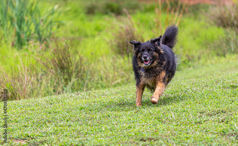 Happy Bay running Happy Bay running