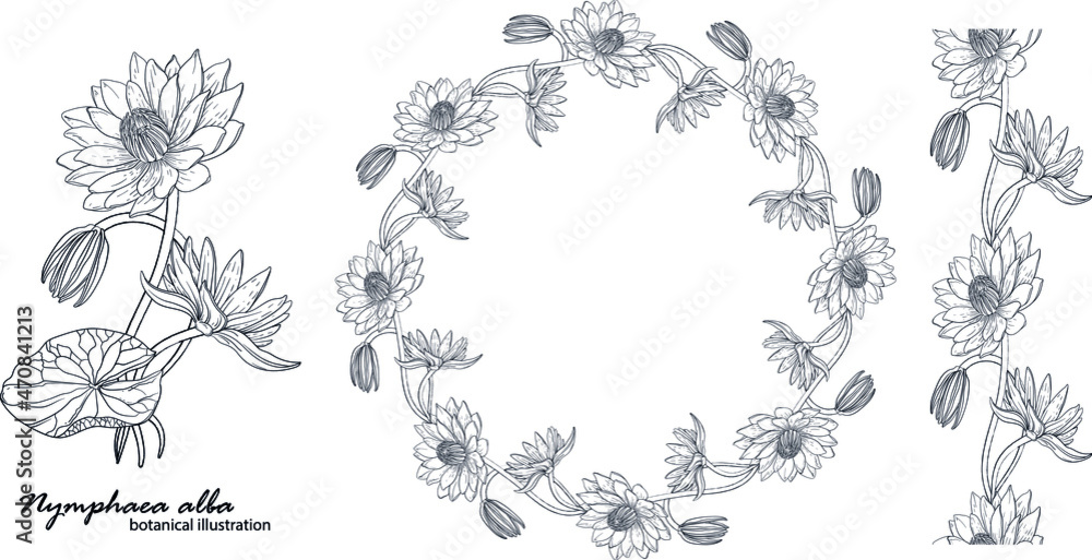Obraz premium Floral vector wreath with lily flowers. Floral
