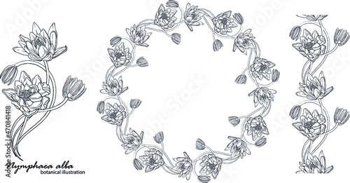 Floral vector wreath with lily flowers. Floral
