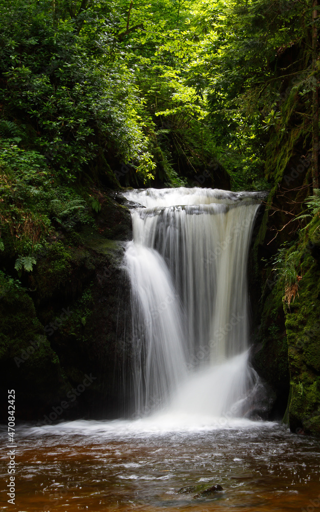 waterfall in the black forest