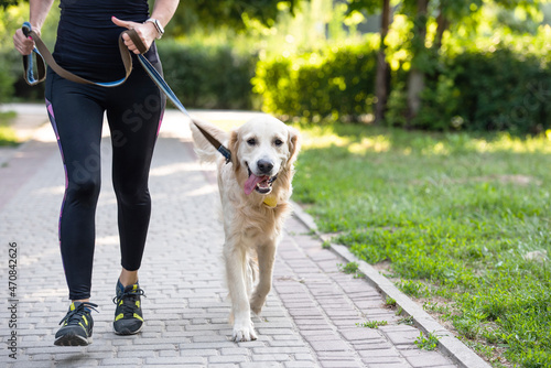 Sport girl running with golden retriever dog outdoors closeup view. Young woman jogging with doggy pet in sunny day