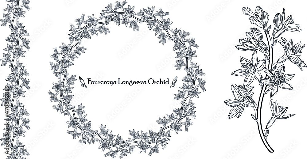 Graphic vector floral wreath with archidia flowers. Black and white drawing Graphic vector floral wreath with archidia flowers. Black and white drawing