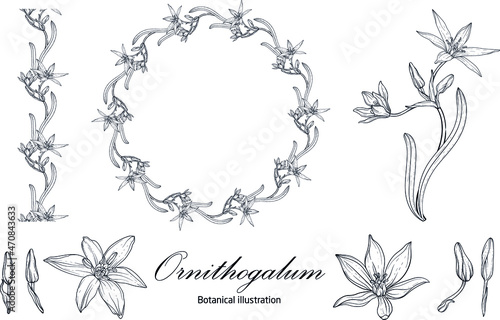 Fototapeta Naklejka Na Ścianę i Meble -  Graphic vector floral wreath with archidia flowers. Black and white drawing