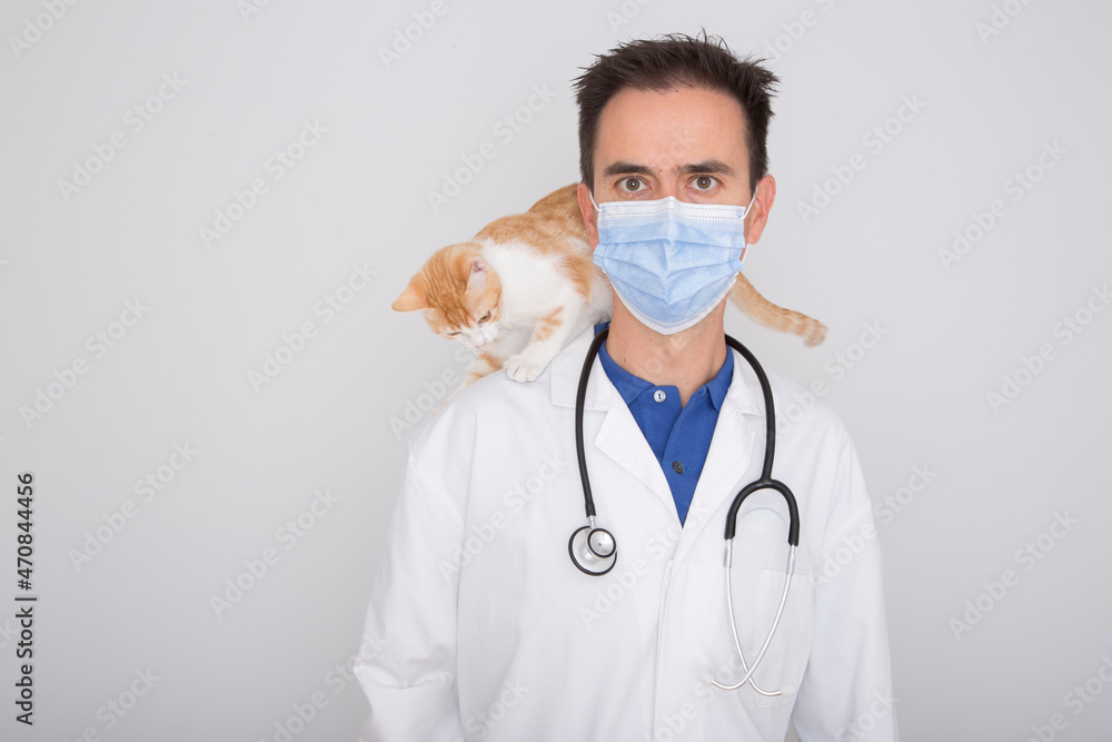 caucasian male veterinarian with a stethoscope and a cat on his back caucasian male veterinarian with a stethoscope and a cat on his back