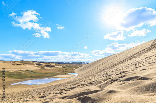Bild auf Leinwand 秋の鳥取砂丘　鳥取県鳥取市　Tottori Sand Dunes in Autumn