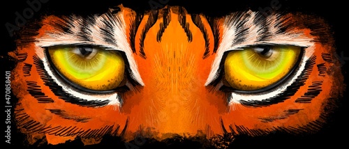 Illustration of a tiger's gaze. Tiger eyes on black background   © Tatiana