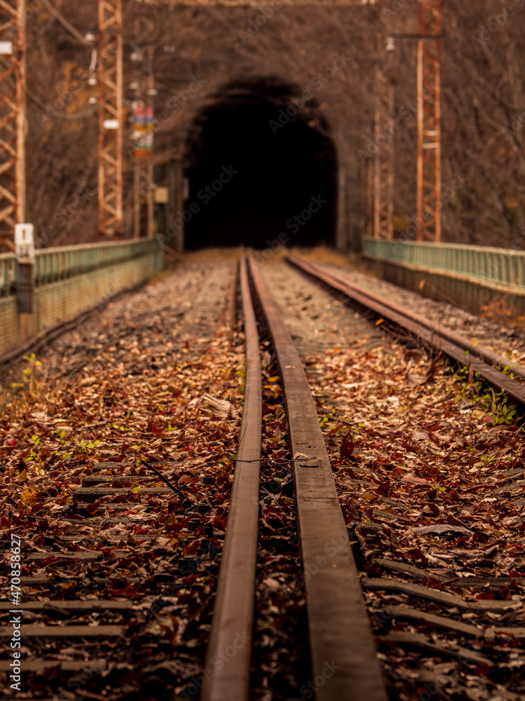 Obraz premium 晩秋の廃線跡 信越線の碓氷峠 横川軽井沢間 11月