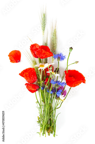 corn flowers isolated on white background