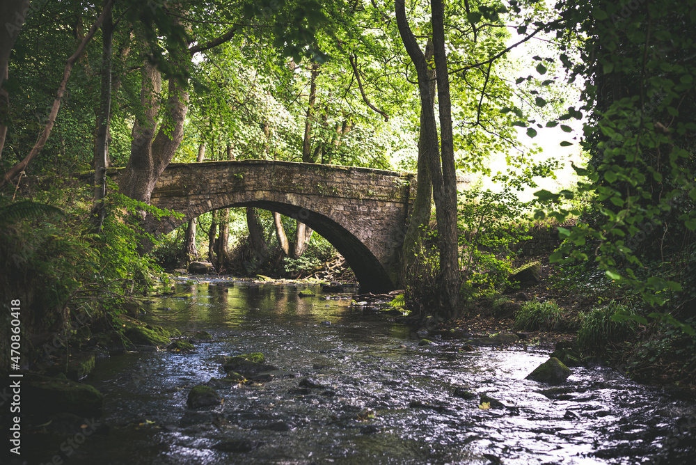 Φωτογραφία old stone bridge in the forest