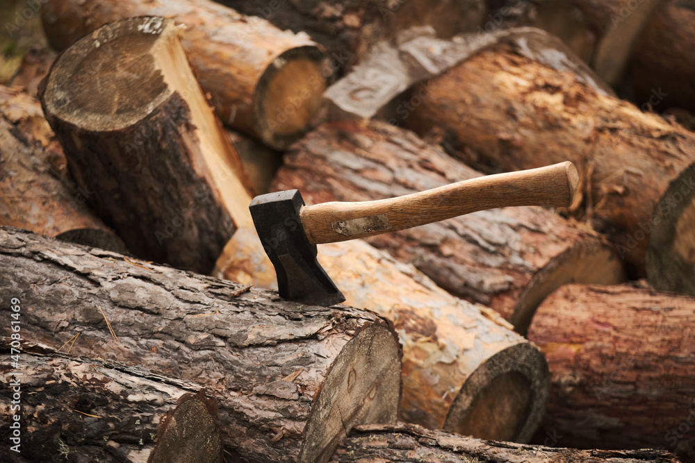 rustic ax on a background of pine logs rustic ax on a background of pine logs