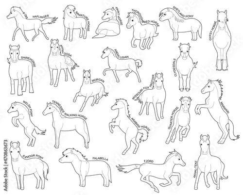 Horse Set Various Kind Identify Cartoon Vector Black and White