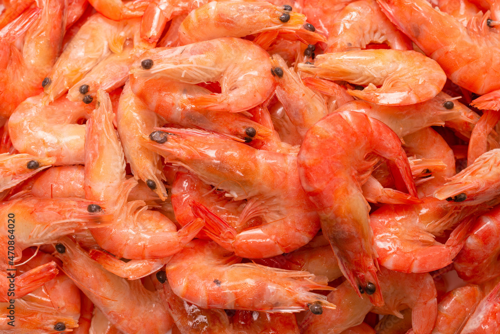Shrimps background texture. A lot of shrimps. Cooked shrimps. Shrimps background texture. A lot of shrimps. Cooked shrimps.