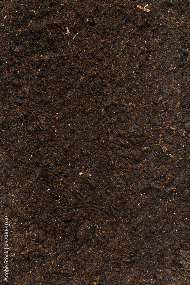 Soil for plant isolated on white background. Soil for plant isolated on white background.
