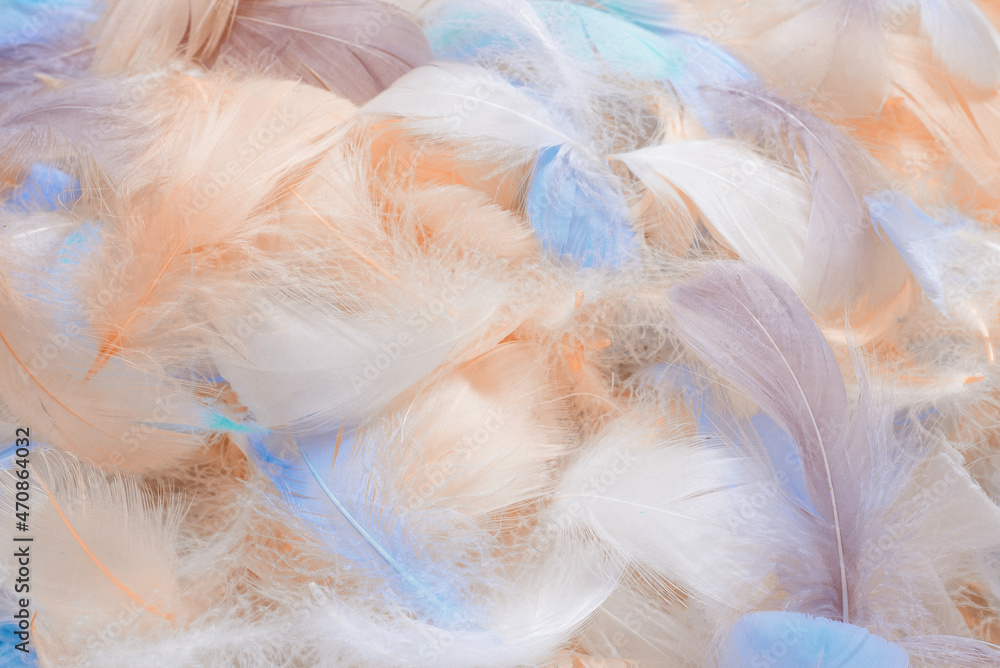 Colorful feather background, top view. Colorful feather background, top view.