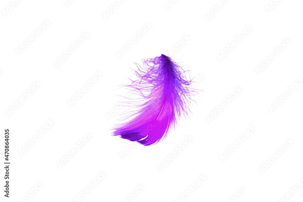 Pink feather isolated on white background. Pink feather isolated on white background.